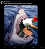 Screenshot 2024-07-12 234442.png